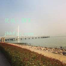 Ҿ